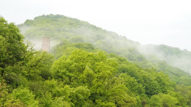 Niebla Las Montañas Entre Los Árboles Puede Ver Torre Georgia — Vídeo de stock