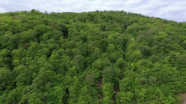 Ormanla Kaplı Dağlar Havadan Görünüm — Stok video