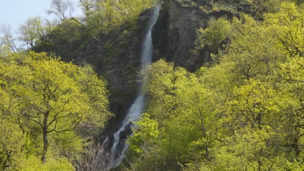 Wodospad Zboczu Góry Gruzja — Wideo stockowe