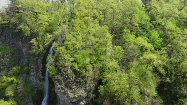 山腹の滝は森林に覆われています 航空写真 — ストック動画