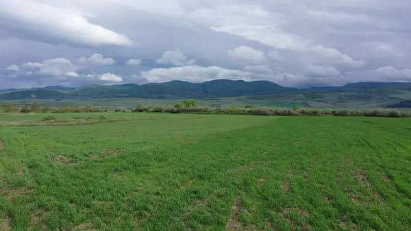 Dağların arka planındaki tarlalar