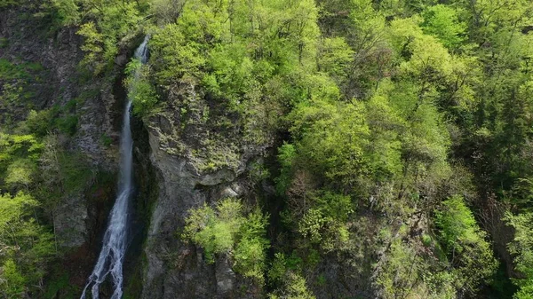 Aerial view. Waterfall on a mountainside overgrown with forests