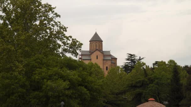 Orthodoxe Kirche Tiflis Bedecktes Wetter — Stockvideo