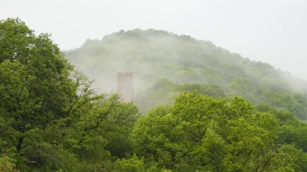 Nebbia Montagna Tra Gli Alberi Può Vedere Torre Attraversare Cima — Video Stock