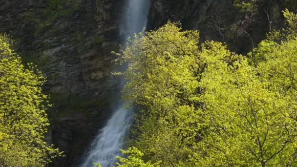 Dağ Yamacındaki Ağaçların Arasında Şelale — Stok video