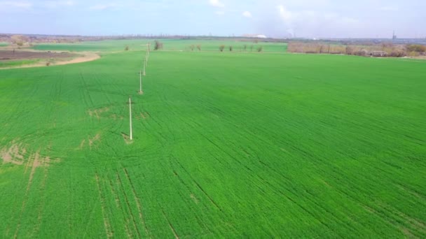 Vista Aerea Campo Agricolo Primaverile — Video Stock