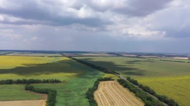 Kırsal peyzaj. Buğday ve ayçiçeği tarlalarının havadan görüntüsünü görebilirsiniz. Bulutlu gökyüzü