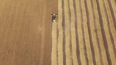 Büyük buğday tarlasında çalışan birleştirmek üzerinde havadan görünüm, buğday alanında Hasat Makinesi, Yukarıdan görünüm
