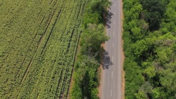 Tarım Alanları Arasında Karayolunun Havadan Görünümü — Stok video