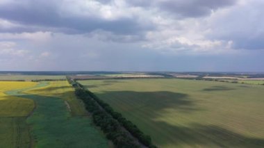 Bulutlu gökyüzü arka planda çiftlik alanlarının havadan görünümü. Buğday ve ayçiçeği alanları