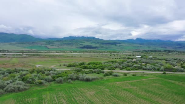 Frühlingsfeld Der Nähe Der Berge Bewölkter Himmel Luftaufnahme — Stockvideo