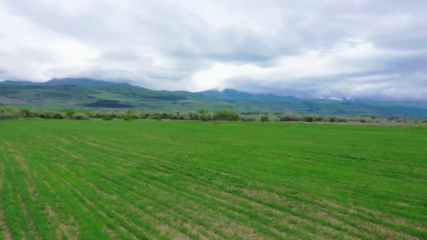 Flygvy Fjäder Fält Nära Fjällen Molnigt Sky — Stockvideo