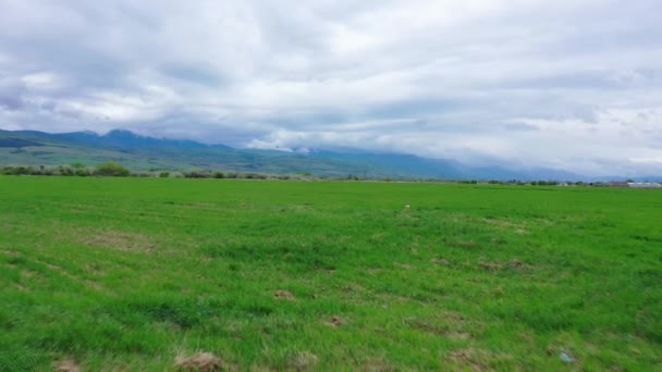 山の谷の春の野原 ドローンで撮影した曇り空ビデオ — ストック動画