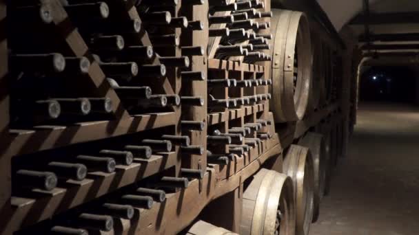 Eski Şarap Mahzenleri Şişeler Ile Depo — Stok video