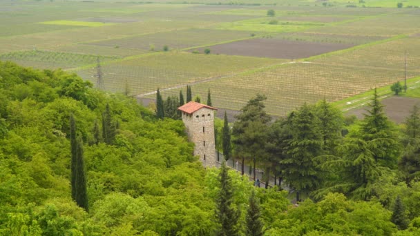 Torre Tradicional Georgia Valle Alazani Georgia Clima Lluvioso — Vídeo de stock