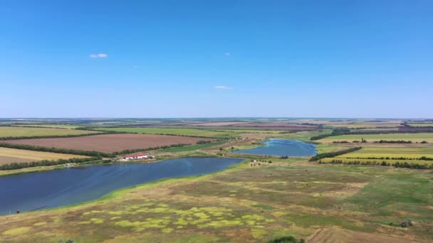 Granja Orilla Del Estanque Vista Aérea — Vídeos de Stock