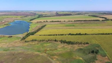 Ayçiçeği ve buğday tarlaları havadan görünümü. Tarlalar arasında bir gölet
