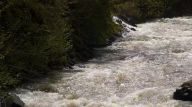 Fırtınalı dağ nehri. Gürcistan'da Borjomi şehri yakınında