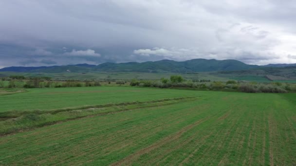Légi Felvétel Tavaszi Mezők Georgia Hegyi Völgyében Hegyek Tetején Felhők — Stock videók