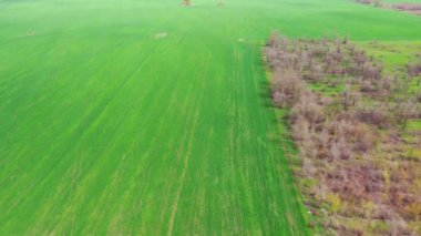 Spring agricultural field aerial view.