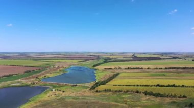 Pond and agricultural fields aerial view.