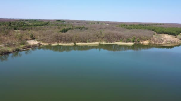 Forest Pond Aerial View Reflection Trees Water Spring Sunny Day — Stok video