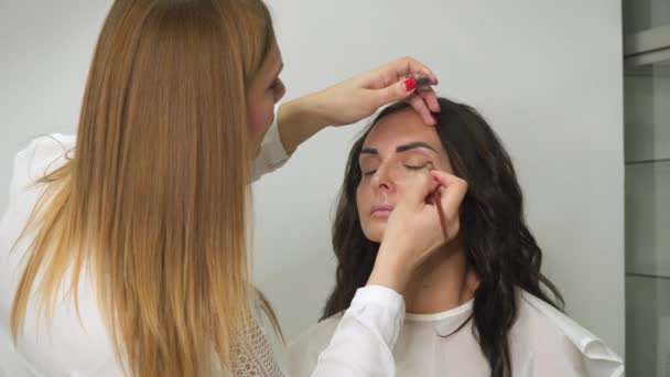 Maquillaje Profesional Artista Maquillaje Profesional Durante Trabajo — Vídeos de Stock