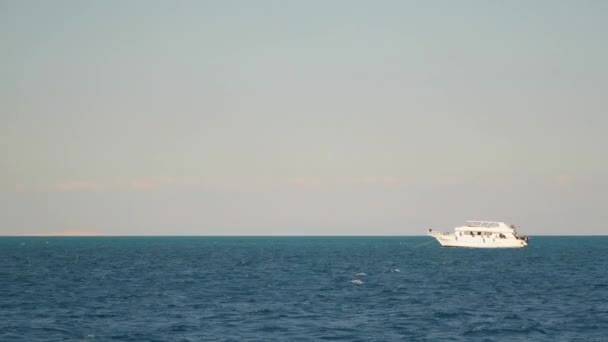 White Yacht Anchor Red Sea Egypt — Stockvideo