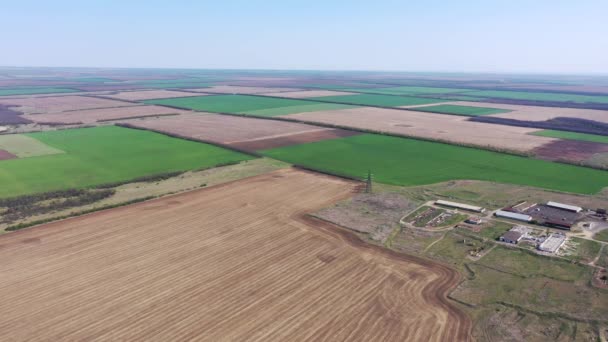 Campi Agricoli Agricoli Vista Aerea — Video Stock