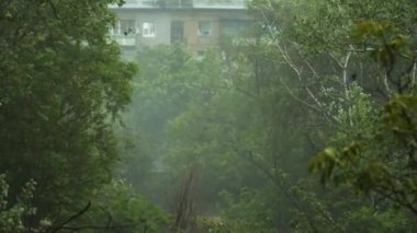 Şehirde sağanak yağmur ve rüzgar var.