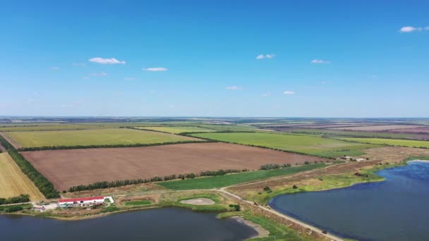 Teich Und Herbst Landwirtschaftliche Felder Ernten Luftaufnahme — Stockvideo