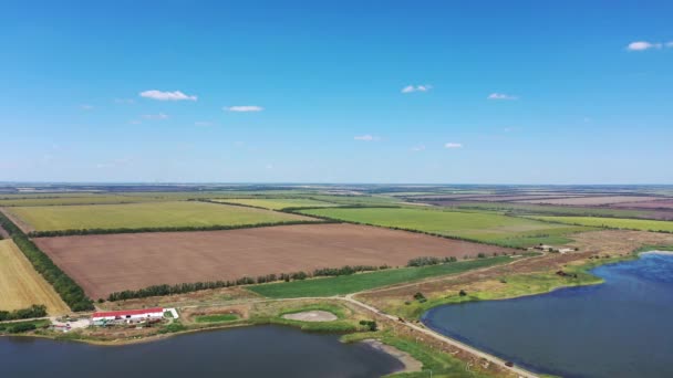 Ставок Осінь Сільськогосподарські Поля Збір Врожаю Вид Повітря — стокове відео