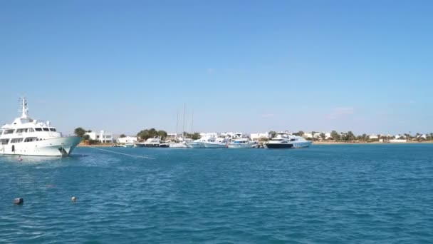 Vita Fritidsbåtar Piren Röda Havet Egypten — Stockvideo