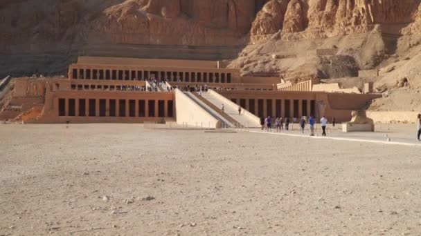 Luxor Ägypten Januar 2020 Der Totentempel Der Hatschepsut Ist Ein — Stockvideo