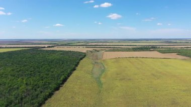 Tarım alanlarının havadan görünüşü. Sonbaharda ayçiçeği ve buğday tarlaları