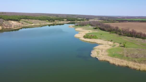 Lago Ojo Pájaro Cañas Secas Lago — Vídeos de Stock