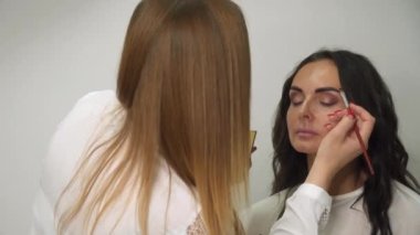 Makyaj sanatçısı model yüzünü fırçalarken, kadın güzellik salonunda. Profesyonel makyaj. İş sırasında profesyonel makyaj sanatçısı.