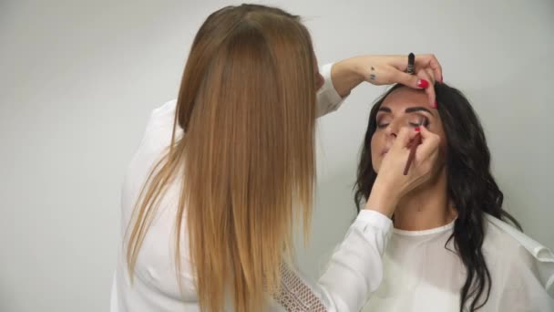 化妆艺术家用笔刷在模特脸上 女人在美容院里 专业化妆 专业化妆师在工作期间 — 图库视频影像