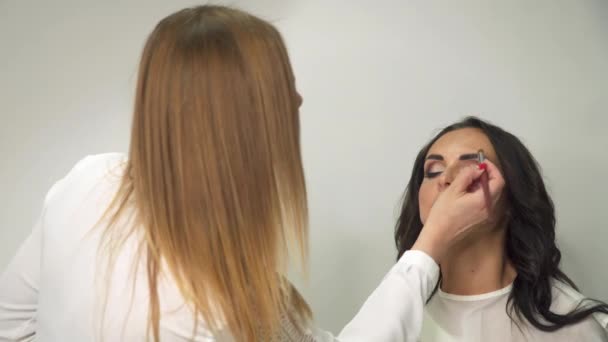 Kvinna Skönhetssalong Professionell Makeup Professionell Makeup Artist Arbetet — Stockvideo