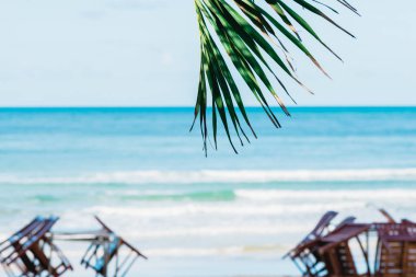 Kumsalın önündeki hindistan cevizi ağacı yaprakları, mavi denizin arka planı, oteldeki masalar ve sandalyeler salgın hastalıktan, COVID 19 konseptinden iş durgunluğuna kadar durduruldu..