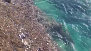 Temiz su kayaya çarpıyor.