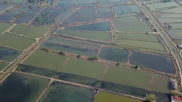 Prise de vue aérienne des champs — Video