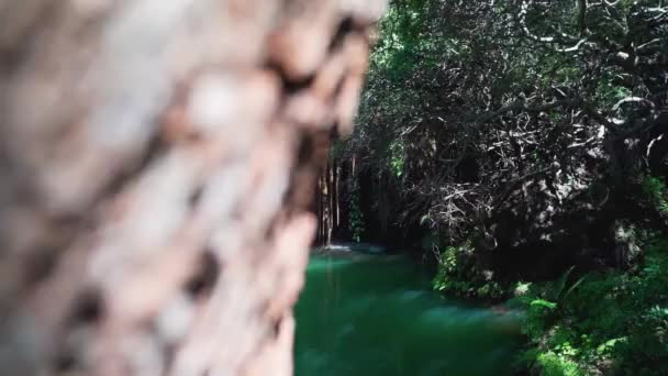 Hermoso lago escondido en un bosque — Vídeo de stock