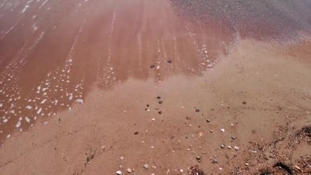 Пляжные волны — стоковое видео