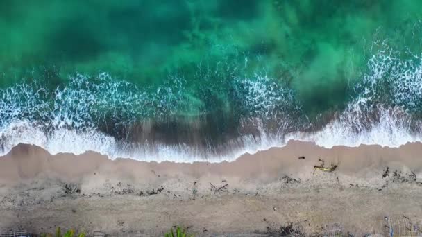 Fåglar ögonutsikt över en strand strandlinje — Stockvideo