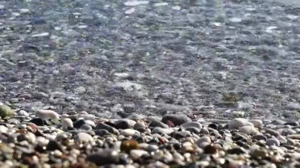 Пляж с чистой водой — стоковое видео