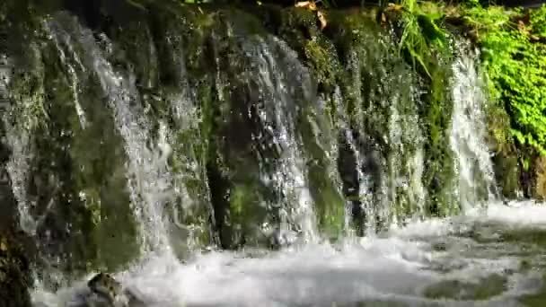 Agua clara que fluye — Vídeo de stock