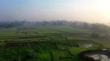 Büyük bir tarlanın insansız hava aracı görüntüleri.