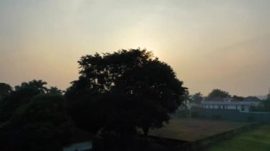 Ağaçların drone görüntüleri