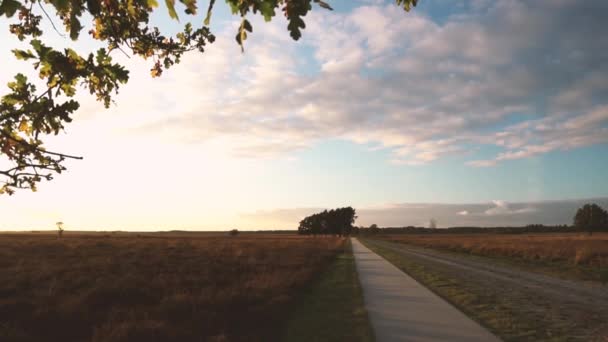 Çimlerin açık arazisinde kapalı bir yol ile yan yana somut yollar — Stok video